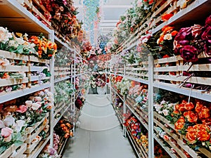 a flower shop with colourful flowers