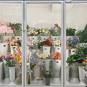 Flower shop concept. Different varieties fresh spring flowers in refrigerator room for flowers. Bouquets on shelf