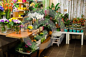 Flower shop