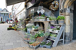 Flower shop in Gorinchem.