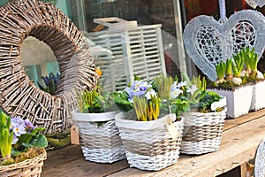 Flower shop in Gorinchem.