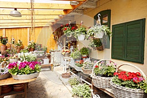 Flower Shop Interior