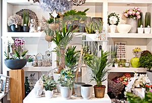 Flower shop interior