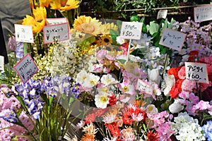 Flower Shop in Japan