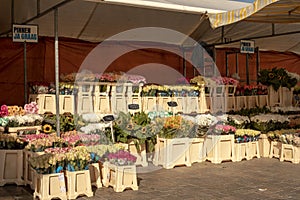 Flower shop on the market in the Netherlands