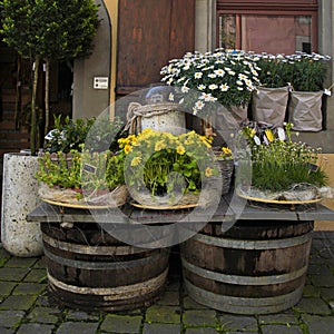 Flower shop on the old town street (Switzerland).