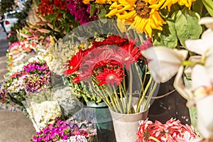 Flower shop. Ornamental red flowers