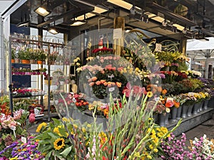 Flower shop retail display in the city