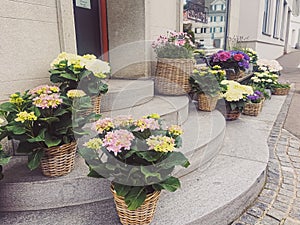 Flower shop on street of Wollerau, canton of Schwyz in Switzerland, Swiss architecture and real estate