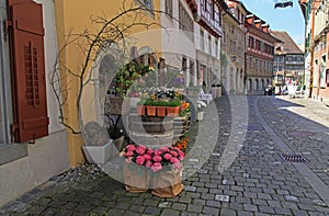 Flower shop (Switzerland).