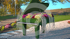 Flower show, unusual flowerbed in the form of a piano