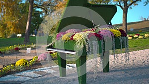 Flower show, unusual flowerbed in the form of a piano