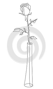 Flower silhouettes. Rose bud in glass plant leaf vase in modern trendy one line style. Solid line, outline for decor, posters, sti