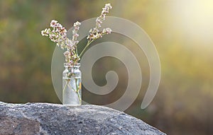 Flower in small bottle