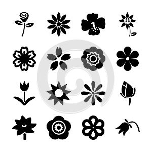 Flower solid icon