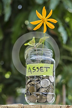 Flower and sprout growing on coins in glass jar with tag asset against blur house backgeound.