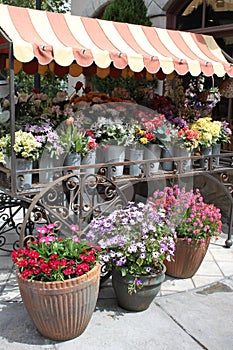 Flower Stall