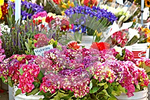 Flower Stall