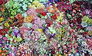 Flower stall at Ben Tanh Market.