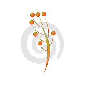 flower stamen. Vector illustration decorative background design