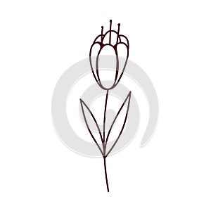 Flower stem nature cartoon, isolated icon white background line style