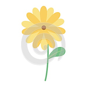 Flower stem petal decoration isolated icon design