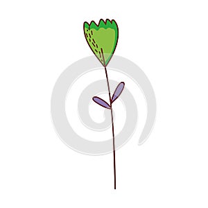 Flower stem petals decoration cartoon isolated icon design