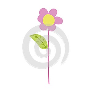 Flower stem petals decoration cartoon isolated icon design