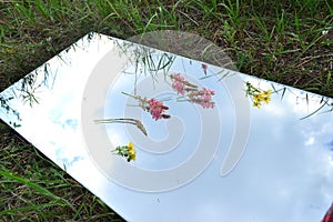 Flower summer sky ladybug mirror
