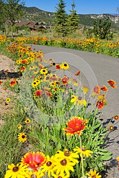 Flower trail