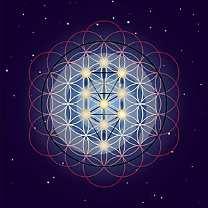 Flower and Tree of Life, sacred geometry on starry sky background