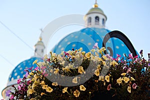 Flower and Troitsky cathedral on the background