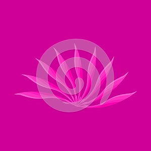 Flower tropical plants image pink color icon vector illustration creative art design abstract background modern style.