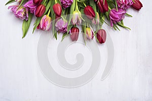 Flower, tulip header