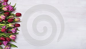 Flower, tulip header