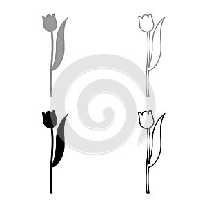 Flower tulip plant silhouette icon outline set black grey color vector illustration flat style image
