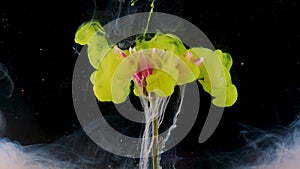 Flower under water and Splashes of colored ink, bright colors. Creative and color mix,