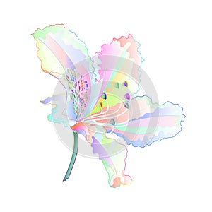 Flower varicolored light flower rhododendron mountain shrub on a white background vintage vector illustration editable