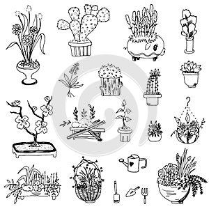 Flower vase drawing free hand vector