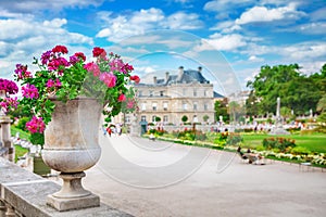 Flower vase at Luxembourg Garden