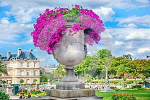 Flower vase at Luxembourg Garden photo