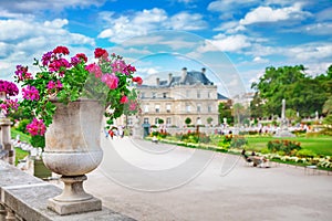 Flower vase at Luxembourg Garden photo