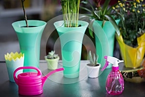 Flower vase, watering can, pot plant and spray bottle on table