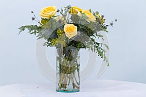 Flower in a Vase at white background