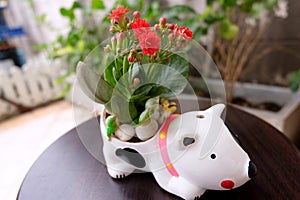 Flower vase with white dog concept.