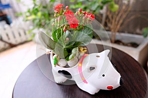 Flower vase with white dog concept.