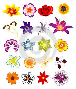 Flower vector composition