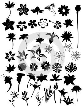 Flower vector composition