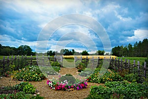 Flower Vegetable Garden