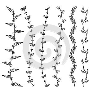 Flower vine leaves hand drawn doodle vector line border set and design element